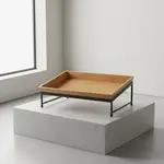 G.E.T. Enterprises IR-737-MG-BAMTRY