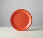 G.E.T. Enterprises NP-10-RO