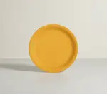 G.E.T. Enterprises NP-10-TY