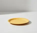 G.E.T. Enterprises NP-9-TY