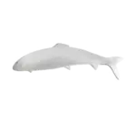 G.E.T. Enterprises PHT05YW