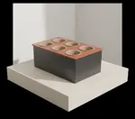 G.E.T. Enterprises PZ005CH Bugambilia® Single Well