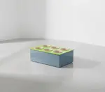 G.E.T. Enterprises PZ005LM Bugambilia® Single Well