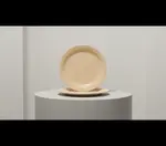 G.E.T. Enterprises SP-DP-510-T