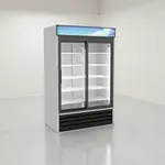 Hoshizaki RM-45-SD-HC