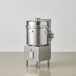 InSinkErator SS-200-15B-AS101