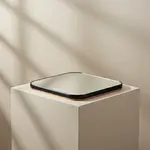 Lakeside Manufacturing 275