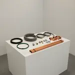 Rational 8720.1564US