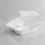 REYMA USA Hinged Container, 3 Compartment, 9x9 Foam Large, 100 Pack