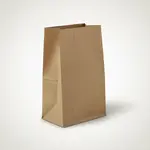 RJ Schinner ICO18421