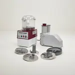 Robot Coupe R2CLRDICE