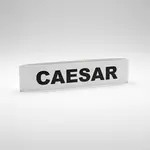 Service Ideas FBCAESARWB