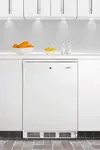 Summit Commercial FF6LWBI7
