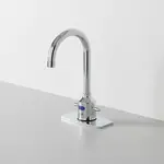 T&S Brass 5EF-1D-DG-4DPWS