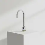 T&S Brass 5EF-1D-DG-TMV