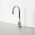 T&S Brass 5EF-1D-DG-WS