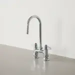 T&S Brass 5F-4DLS05A