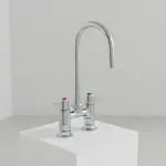 T&S Brass 5F-4DLS05CA