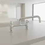 T&S Brass 5F-8DLS12A