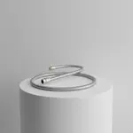T&S Brass B-0028-H2A