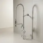 T&S Brass B-0113-A12-V-BC