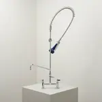 T&S Brass B-0123-A06-B08