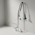 T&S Brass B-0133-12-CRB8P