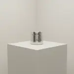 T&S Brass B-0199-10-WS