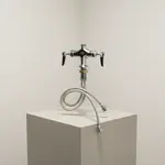 T&S Brass B-0200-CR-LN