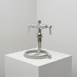 T&S Brass B-0200-LNM