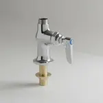 T&S Brass B-0205-CR-LN