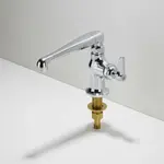 T&S Brass B-0208-CR-HW