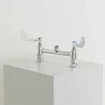 T&S Brass B-0220-LN-WH4