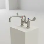 T&S Brass B-0226-WH4