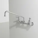 T&S Brass B-0230-EE-061X