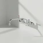 T&S Brass B-0231-EE-A22