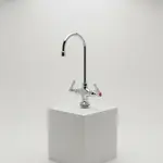 T&S Brass B-0300-VR4-WS