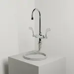 T&S Brass B-0301-W4-QT-WS