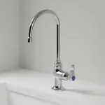 T&S Brass B-0305-CR-TL