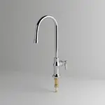 T&S Brass B-0305-QT-WS