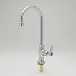 T&S Brass B-0305-VR-WS