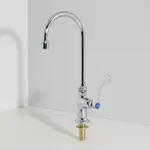 T&S Brass B-0305-VR4-WS