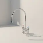 T&S Brass B-0325-134X-CR4