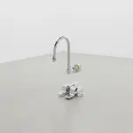 T&S Brass B-0502-537K