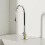 T&S Brass B-0520-F05