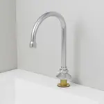 T&S Brass B-0520-VF05