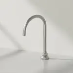 T&S Brass B-0545-F10