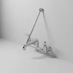 T&S Brass B-0660-POL