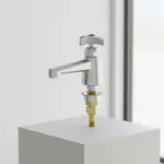 T&S Brass B-0710-LT-CR