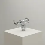 T&S Brass B-0736-POL